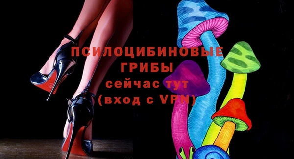 ГАЛЛЮЦИНОГЕННЫЕ ГРИБЫ Зерноград