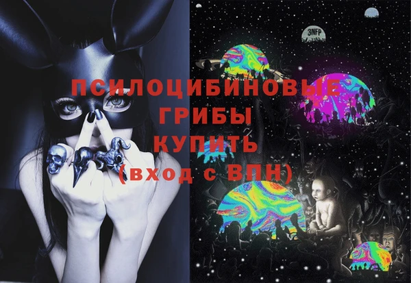 ГАЛЛЮЦИНОГЕННЫЕ ГРИБЫ Зерноград