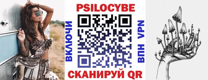 Псилоцибиновые грибы мицелий Купить Вилючинск